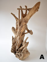 Load image into Gallery viewer, Decorative Wood Artefact - Large