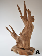 Load image into Gallery viewer, Abstract Wood Sculpture On Stand - Small