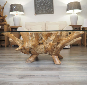 Reclaimed teak root oval coffee table , side view of root base.