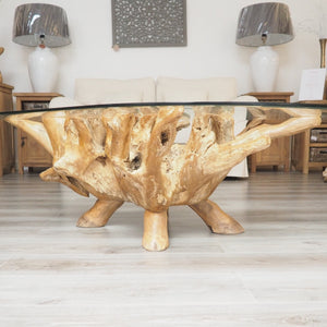 Reclaimed teak root oval coffee table 150x100cm side view.