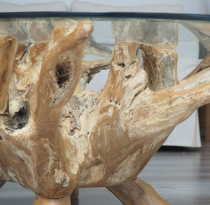 Reclaimed teak root, close up view.