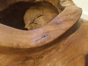 Solid Root Vase Pot