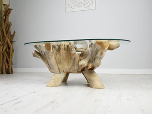 Teak root oval coffee table, side view.